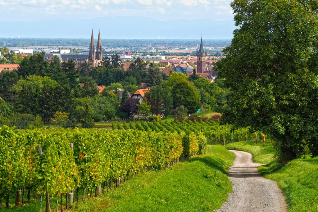 Exursions en Alsace,excursion à Obernai