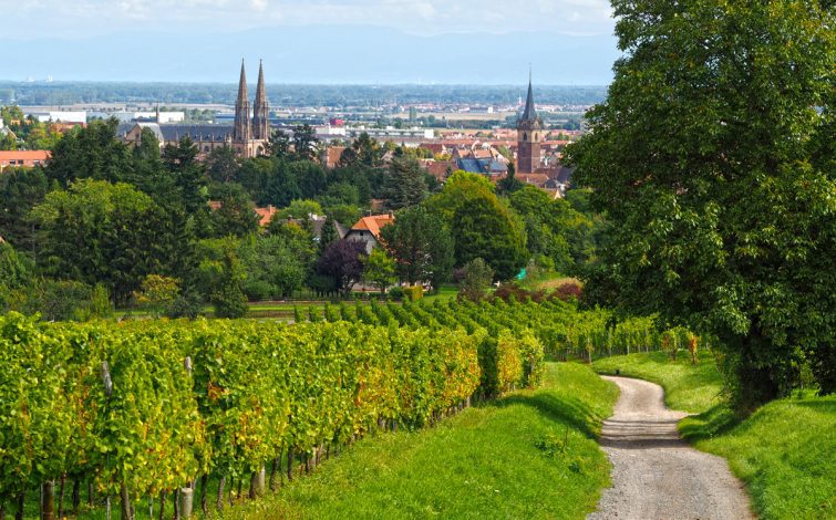 Exursions en Alsace,excursion à Obernai