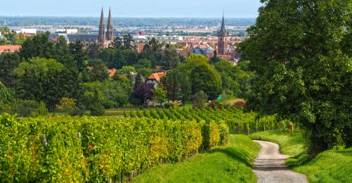 Exursions en Alsace,excursion à Obernai, Excursions in Alsace, meilleure option de transport, Best Transportation Option